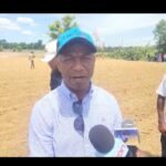 Inicia la siembra de cebolla en Macotillo, Productores auguran un buen año.